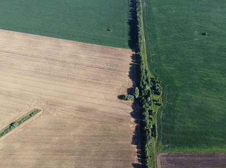 A forest belt separates several farm fields, top view. Agrarian landscape, bird's-eye view.