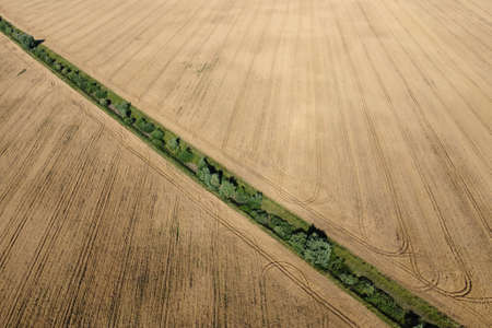 An old irrigation canal overgrown with trees among a wheat field, aerial view. Dry irrigation canal...
