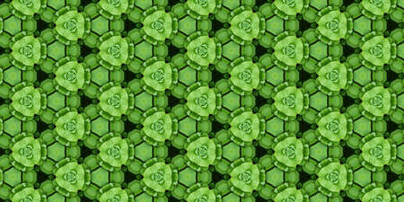 Unique background for wrappings paper, wallpaper, textile and surface design. Creative seamless pattern. Collage.の写真素材