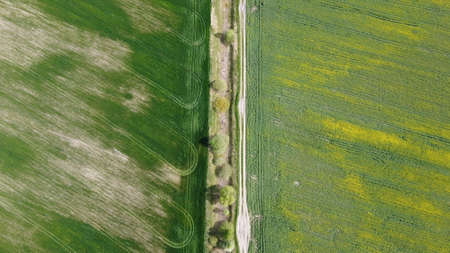 Dirt road along the abandoned melioration canal. Agricultural land, aerial view.