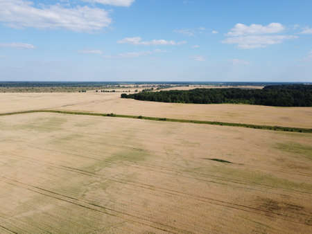 Breathtaking top view of agricultural area and cultivated fields in sunny day. Location place of...