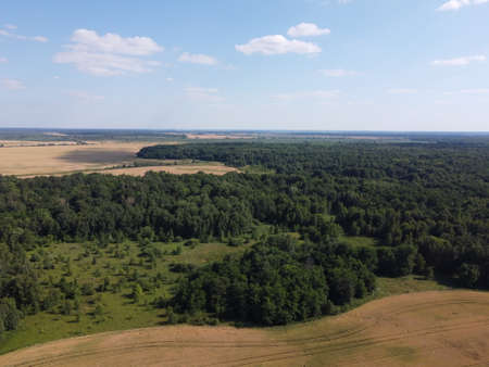 Green deciduous forest next to a farm field. Landscape from a bird's eye view. Sunny weather.
