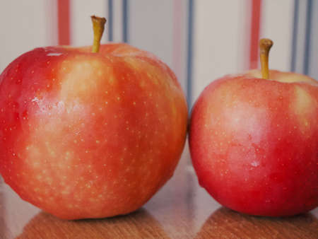Two ripe apples of the Ligol variety, a close-up shot.