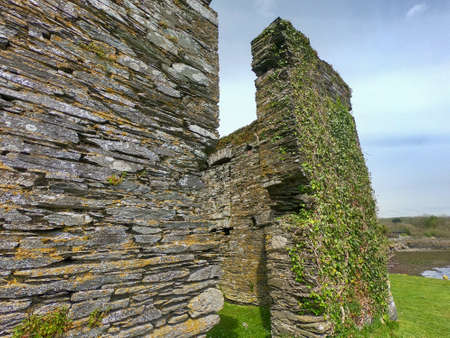 An old stone wall overgrown with plants. Medieval ruins. Arundel Grain Store, Ring, near Clonakilty, West Cork. The 16th Century Grain Store was built to store grain for the nearby Arundel Flour Millsの写真素材