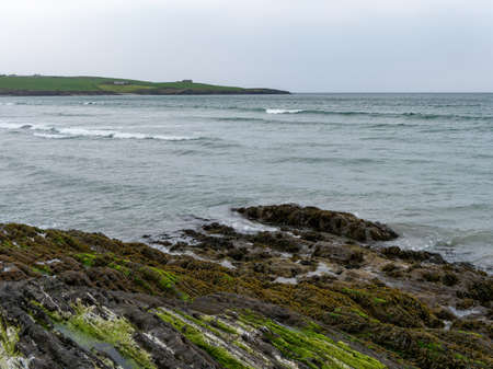 Algae-covered rocks on the shore of Clonakilty Bay in cloudy weather.の写真素材