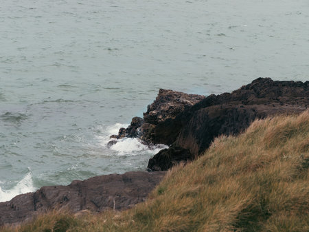 Tough grass, rock. coastal rocks. Seascape, rock formation.