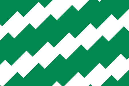 Geometric pattern in the colors of the national flag of Nigeria. The colors of Nigeria.の写真素材