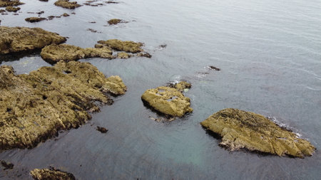 rocky shore view. Big rocks in the water. Seascape. Brown rock formation on body of water