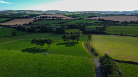 Irish fields, top view. Agricultural landscape in summer. Grass fields and trees. Green grass field with treesの写真素材