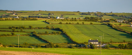 Green farm fields in the south of Ireland on a summer evening. Agricultural Irish landscape. Pastures for livestock, house on green grass field.の写真素材
