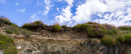 Clear blue sky over a rocky cliff. Wild plants on the rocks. summer landscape.の写真素材