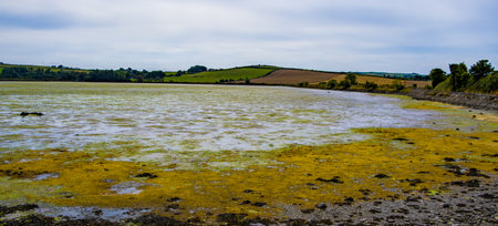 Vast tidal plains in the south of Ireland on a summer day. Irish landscape. A tidal marsh is a marsh which floods and drains by the tidal movement of the adjacent estuary, sea or ocean. tidal wetlandの写真素材