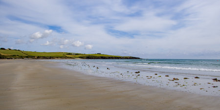 Sandy Irish beach on a summer day. Seaside landscape of Ireland. Seaweed on the sandy shore after low tide. Inchydoney Beach.の写真素材