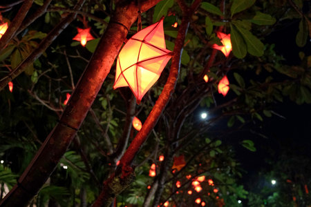 Decorative holiday stars glow on tree branches at night.の写真素材