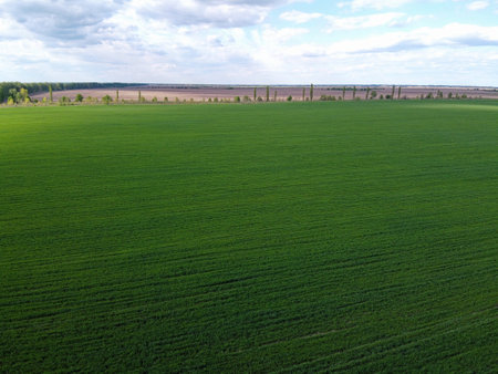 Blue sky over a green field, aerial view. Farmland landscape.の写真素材