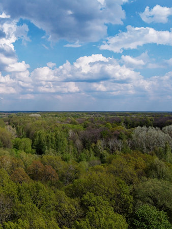 Blue cloudy skies over a dense forest, aerial view. Beautiful cloudy sky over the forest.の写真素材