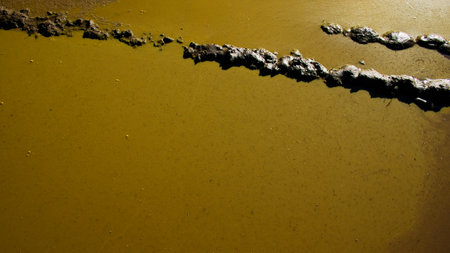 The image shows a textured brown surface, dotted with many tiny black particles.の写真素材