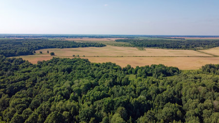 Green deciduous forest next to a farm field. Landscape from a bird's eye view. Sunny weather.の写真素材