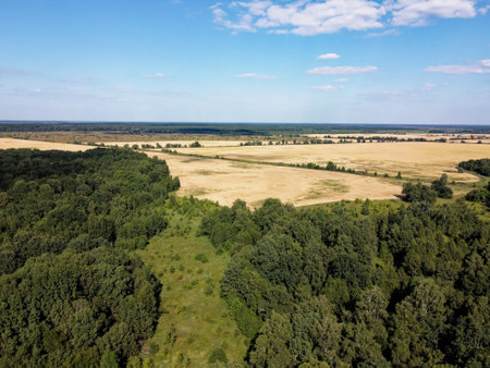 Green deciduous forest next to a farm field. Landscape from a bird's eye view. Sunny weather.の写真素材