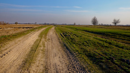 The photo depicts an expansive view of fields intersected by a winding dirt track.の写真素材