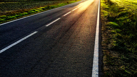 A sunlit asphalt road with white markings, flanked by green grass.の写真素材
