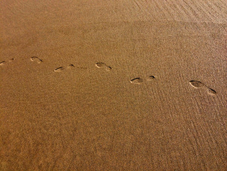 A close-up of sandy ground with distinct footprints embedded.の写真素材