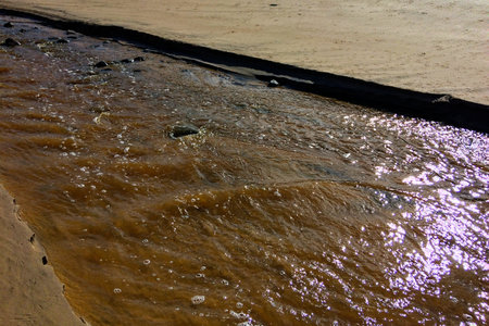 The image captures a muddy stream flowing across a sandy surface, with sunlight reflecting off the...
