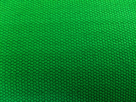 The image shows a green textured surface with small, uniform, raised circles.の写真素材