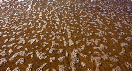 The image captures a sandy surface with irregular white foam patterns, likely left by receding waves.の写真素材