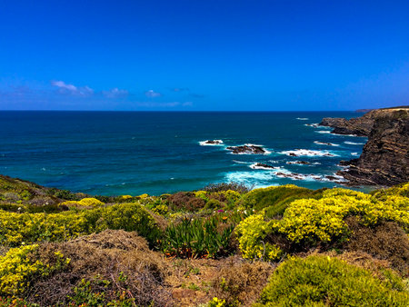 A vibrant coastal scene with lush greenery in the foreground, rocky cliffs, and a deep blue ocean with white waves crashing against the rocks.の写真素材