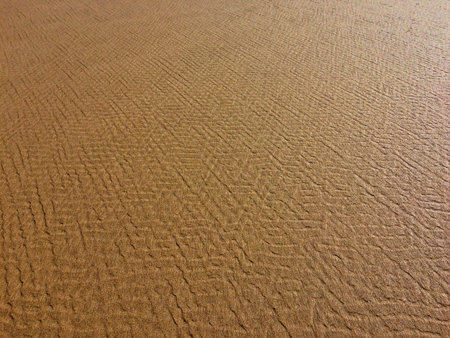 The image shows a detailed brown surface with a complex pattern that looks similar to the texture of leather or skin.の写真素材