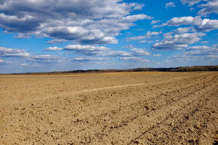 Open farmland with rich soil and a cloud-filled sky.の写真素材