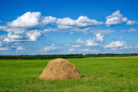 A haystack sits in a green field under a blue sky dotted with fluffy white clouds.の写真素材