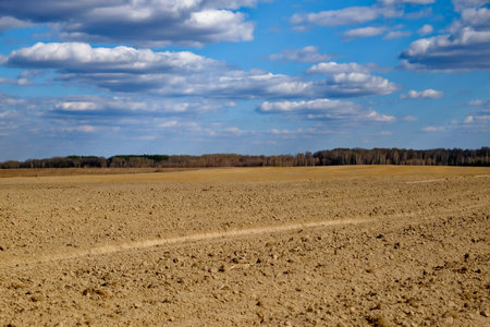 Open farmland with rich soil and a cloud-filled sky.の写真素材