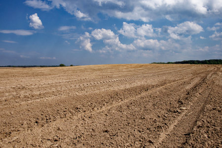Clouds hover over a large expanse of tilled soil.の写真素材