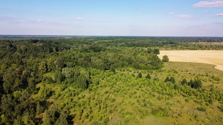 Aerial view of summer landscape with green forest and blue sky.の写真素材