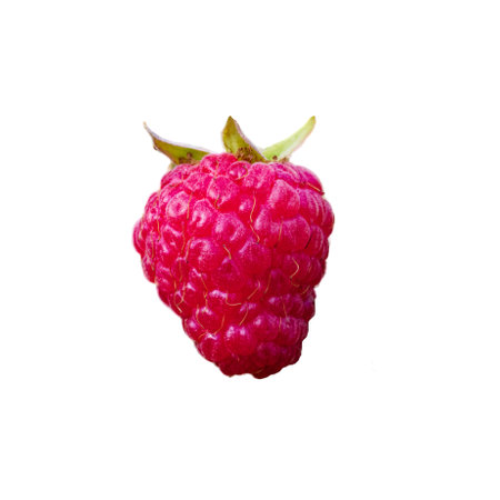 High-resolution image capturing the detailed texture and bright color of a fresh raspberry; excellent for use in marketing materials promoting healthy eating.の写真素材