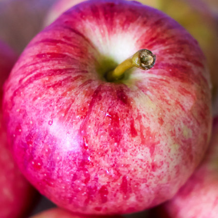 Ripe Apple with Water Drops. A ripe apple with water drops, conveying natural purity. Great for educational or dietary content.の写真素材