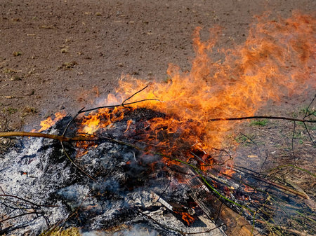 The aftermath of a bonfire with lingering flames.の写真素材