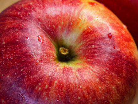 Apple Freshness. A fresh apple with dew, ideal for health themes.の写真素材