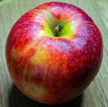 Juicy Apple Detail. Detailed view of a ripe apple's moist surface.の写真素材