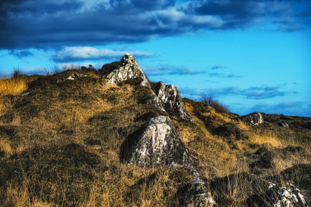 The landscape features rugged rocks scattered amidst tall golden grasses under a striking blue sky with fluffy white clouds, creating a serene environment.の写真素材
