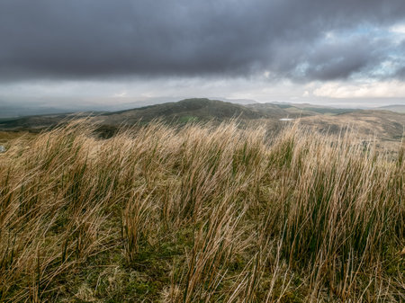 Lush hills covered in tall grass stretch across the landscape. Dark clouds loom overhead, heralding a change in the weather later in the afternoon.の写真素材