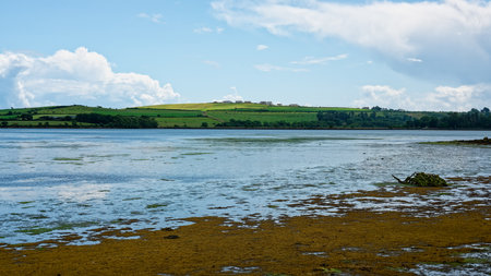 A picturesque view of Inchydoney Island reveals calm waters reflecting the sky, with lush green hills in the distance. The tranquil atmosphere invites exploration and relaxation.の写真素材