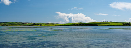 Calm waters stretch across Inchydoney Island in Ireland, captivating visitors with its vibrant greens and blues. The expansive sky features fluffy white clouds, enhancing the natural beauty.の写真素材