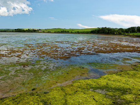 Breathtaking panoramic view of a serene estuary at low tide. Green fields and a charming farmhouse complete this idyllic coastal scene. Ideal for calendars, travel publications.の写真素材