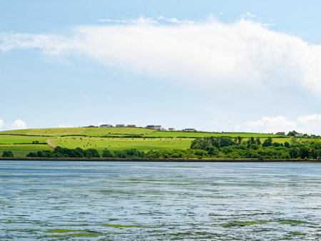 Inchydoney Island landscape showing lush green hills and tranquil waters in Ireland.の写真素材