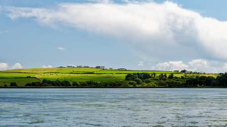 Lush green rolling hills dotted with charming homes and calm waters reflect the vibrant scenery of Inchydoney Island, highlighting Ireland's natural beauty.の写真素材
