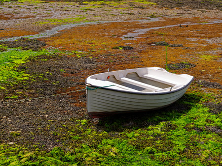 A small white boat is grounded on a beautiful stretch of colorful seaweed and mud as the tide recedes. The tranquil coastline showcases the natural beauty of Ireland.の写真素材
