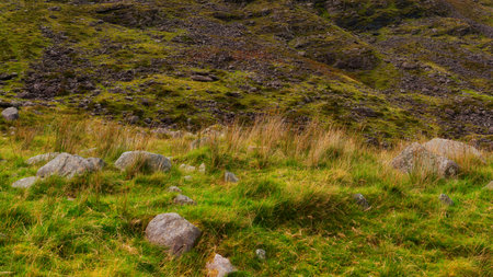 A scenic grassy landscape with some rocks is viewed during the daytime. A hillside is partially visible in the background. The location is County Kerry in Ireland.の写真素材